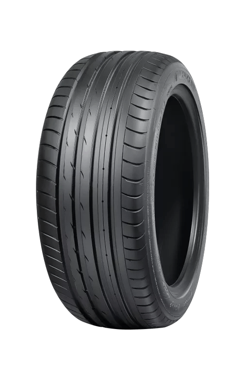 Nankang AS-2+ wet tyre